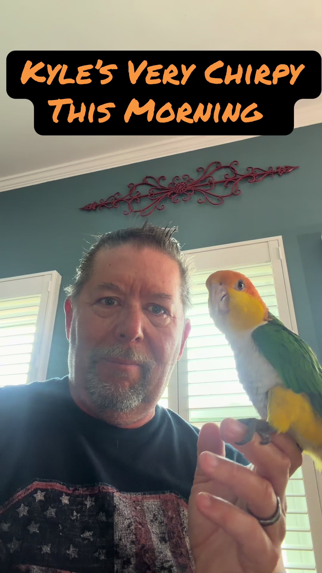 @Kyle The Caique