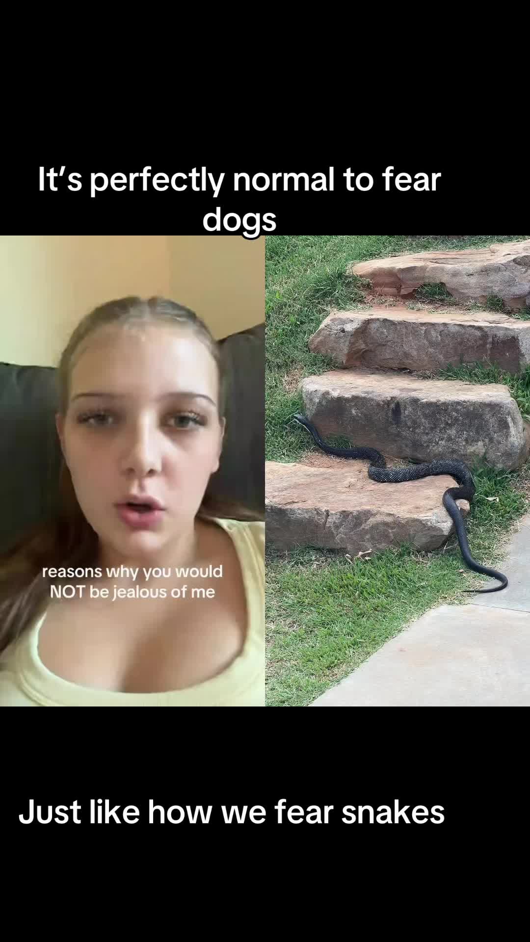 @Dogs aren&rsquo;t Family
