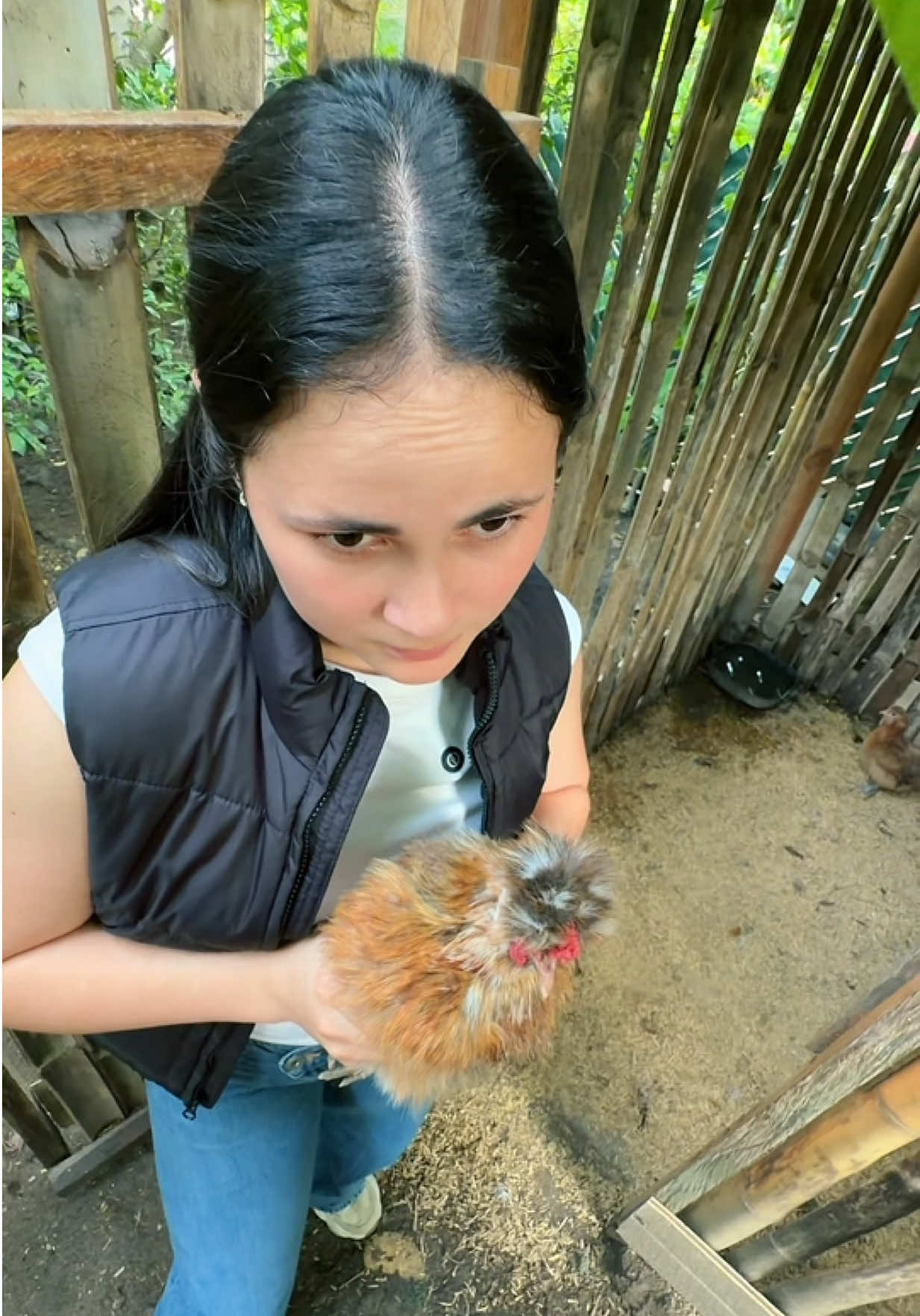 @Wiluka baby 🦔