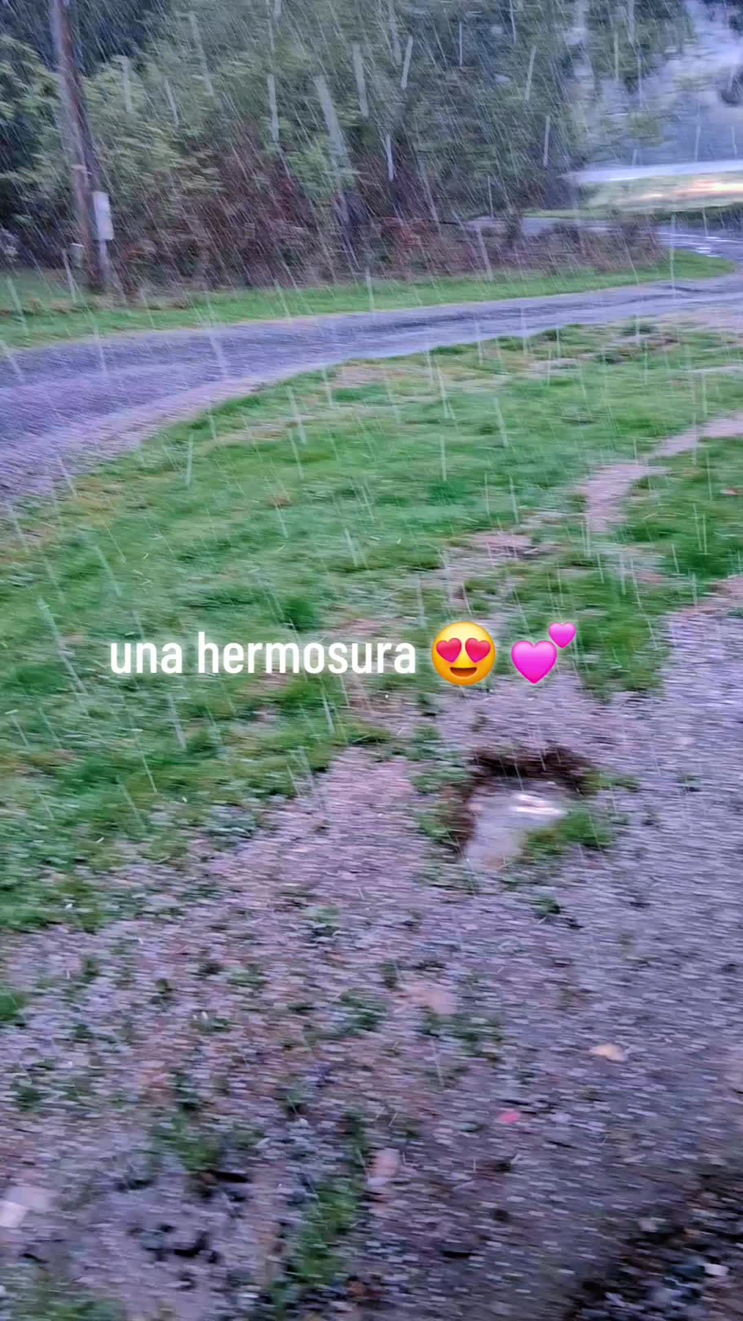 @👽👾el negrito👾👽