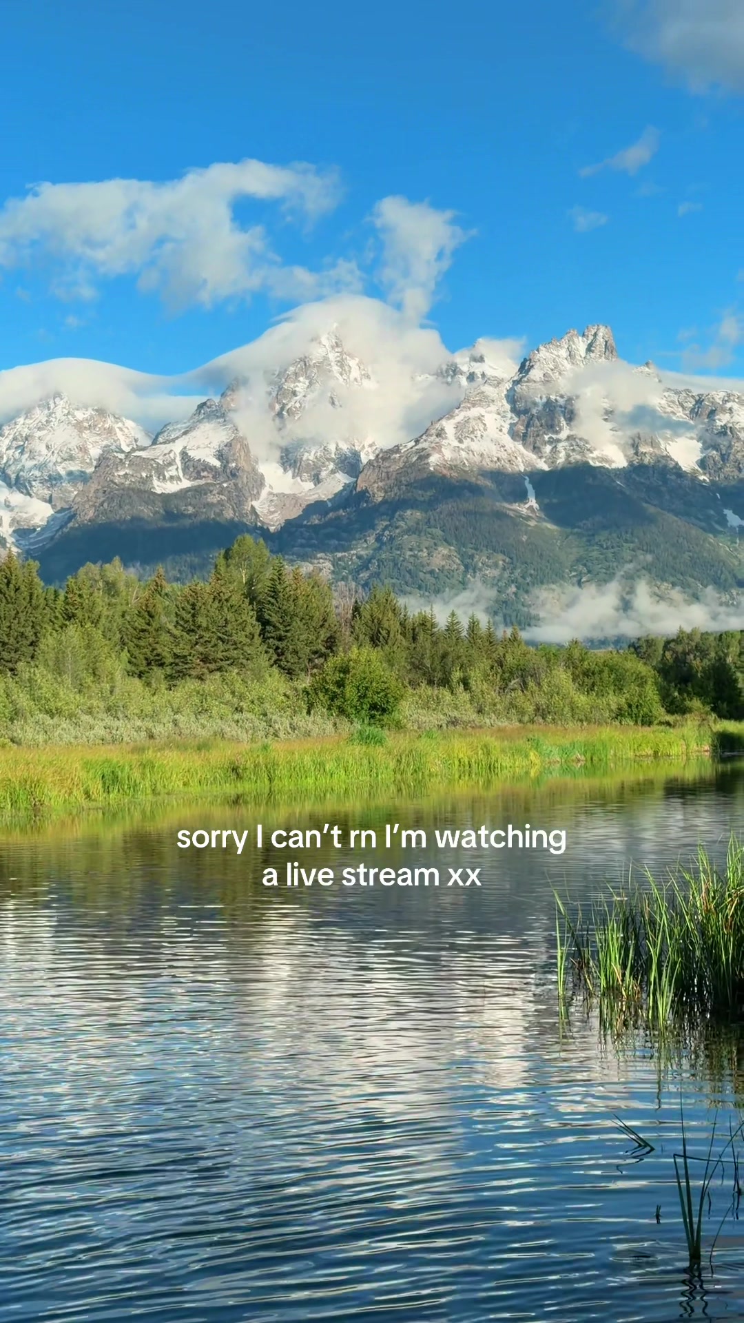 @Lauren Wolfe