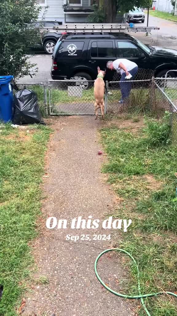 @Bohreatz421