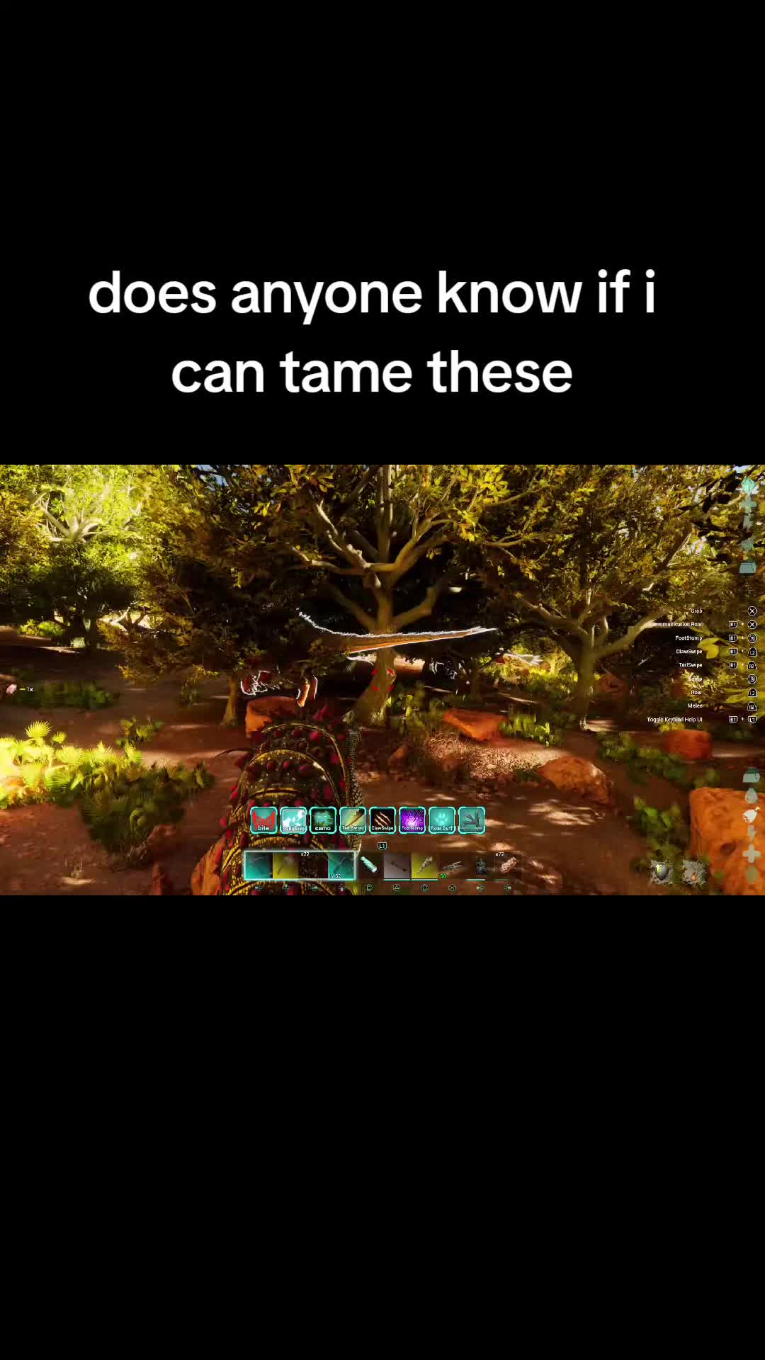 @Lopingchief302