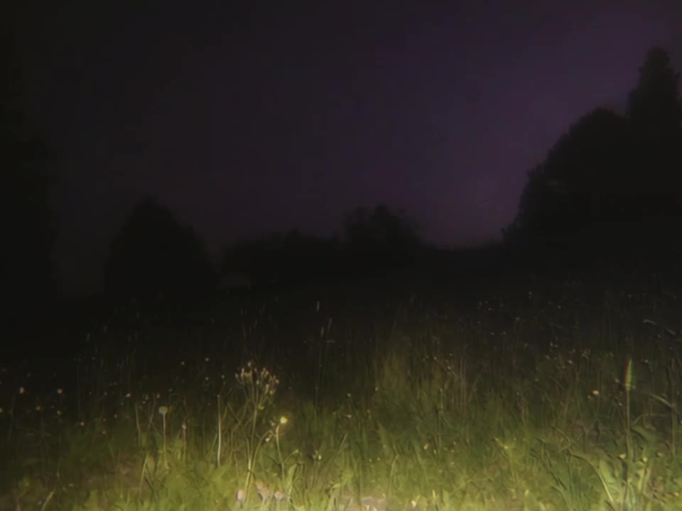 @𝘿𝙄𝙂𝙄𝙏𝘼𝙇𝙄𝙎