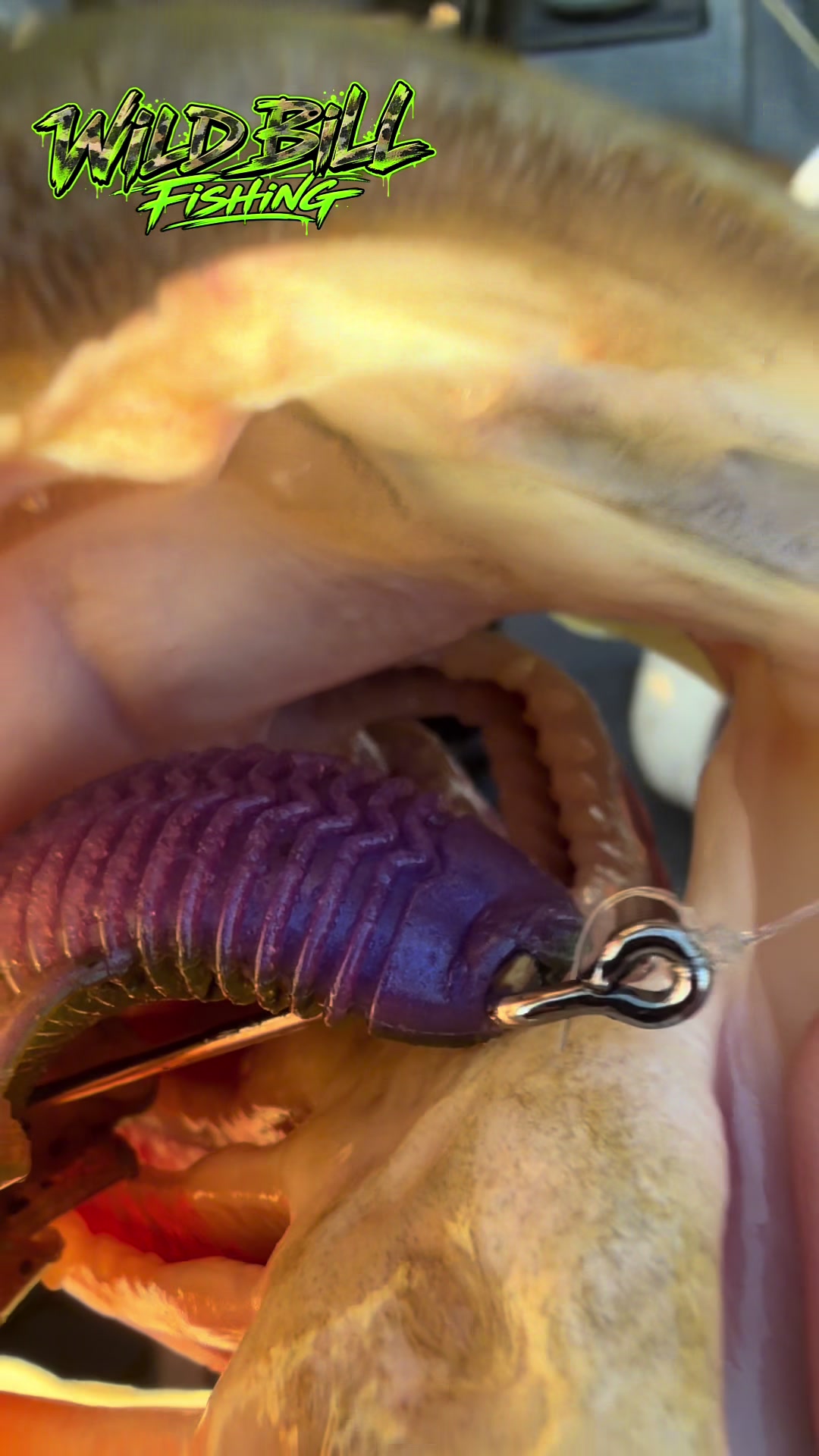 @wildbillfishing