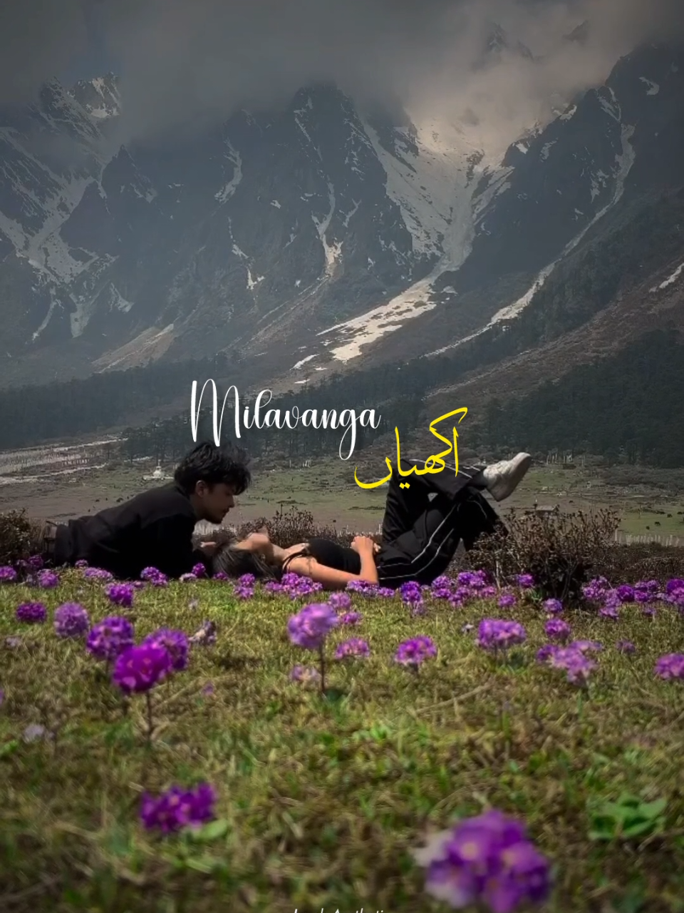 @𝙄 𝙕 𝙕 𝘼 𝙃 🕊️•