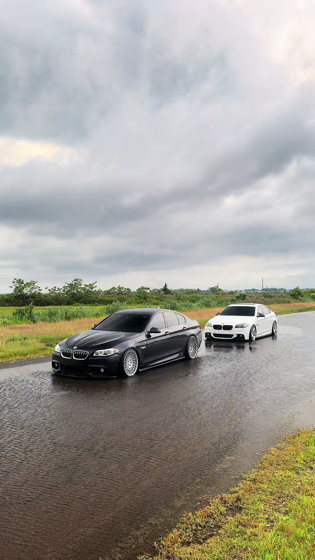 @SwissF10