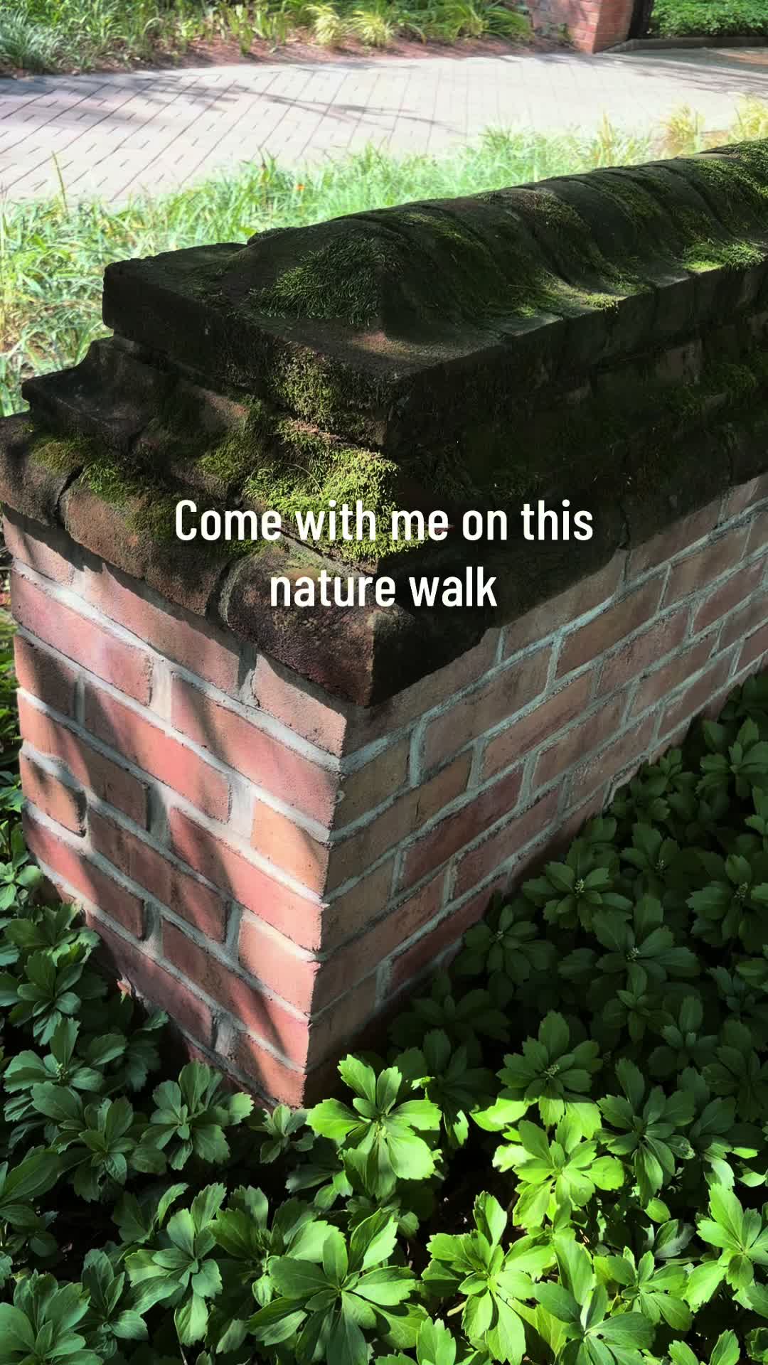 @Barfsimpingson