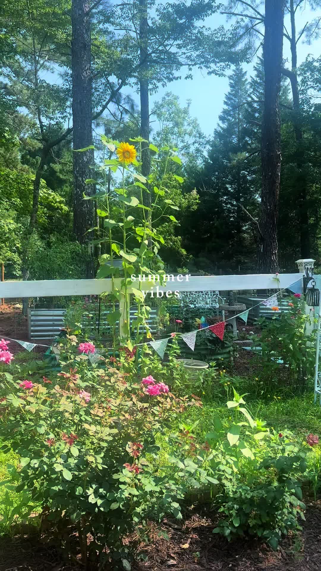 @Cottageonwynn