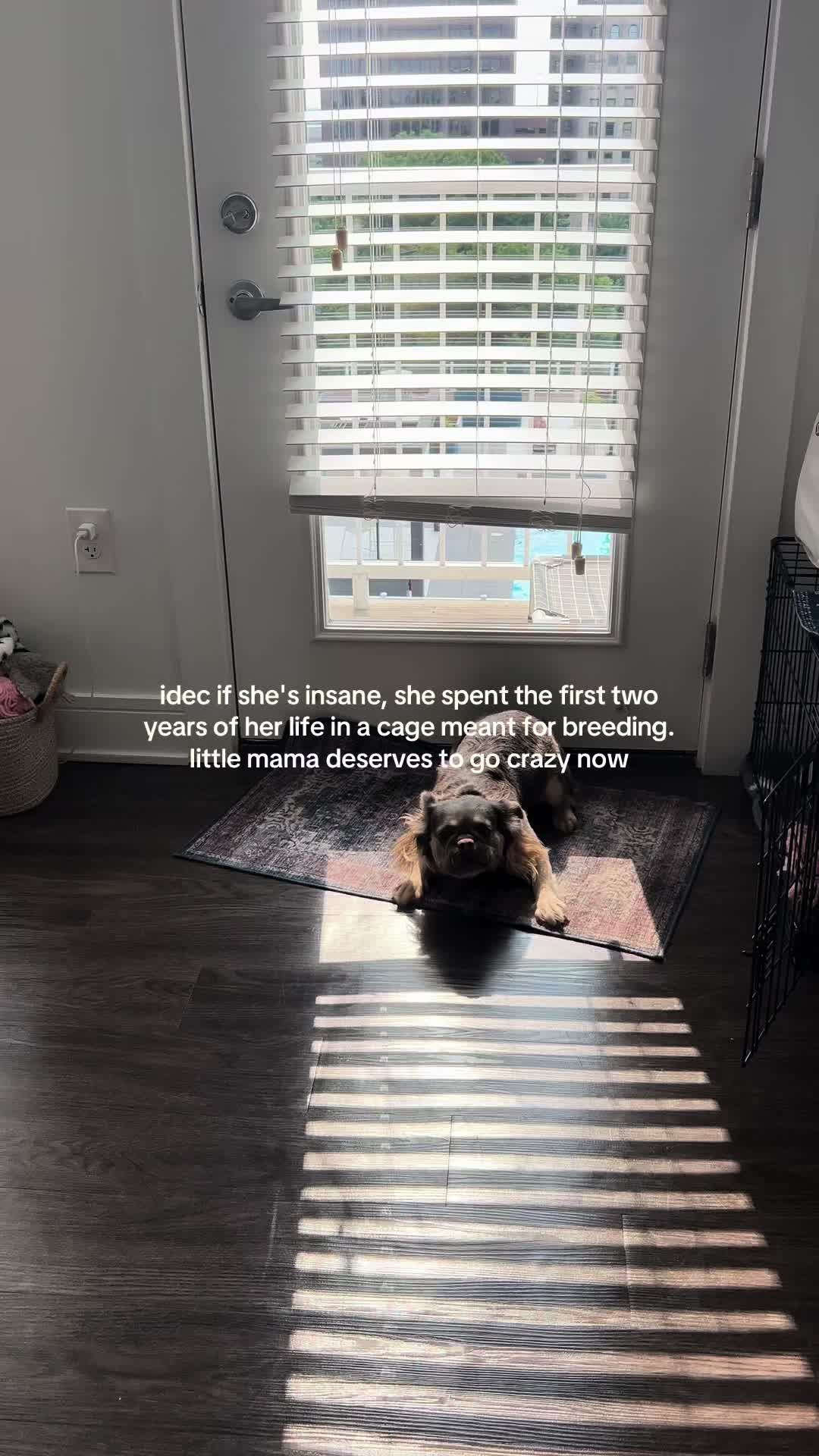 @kiersten julia