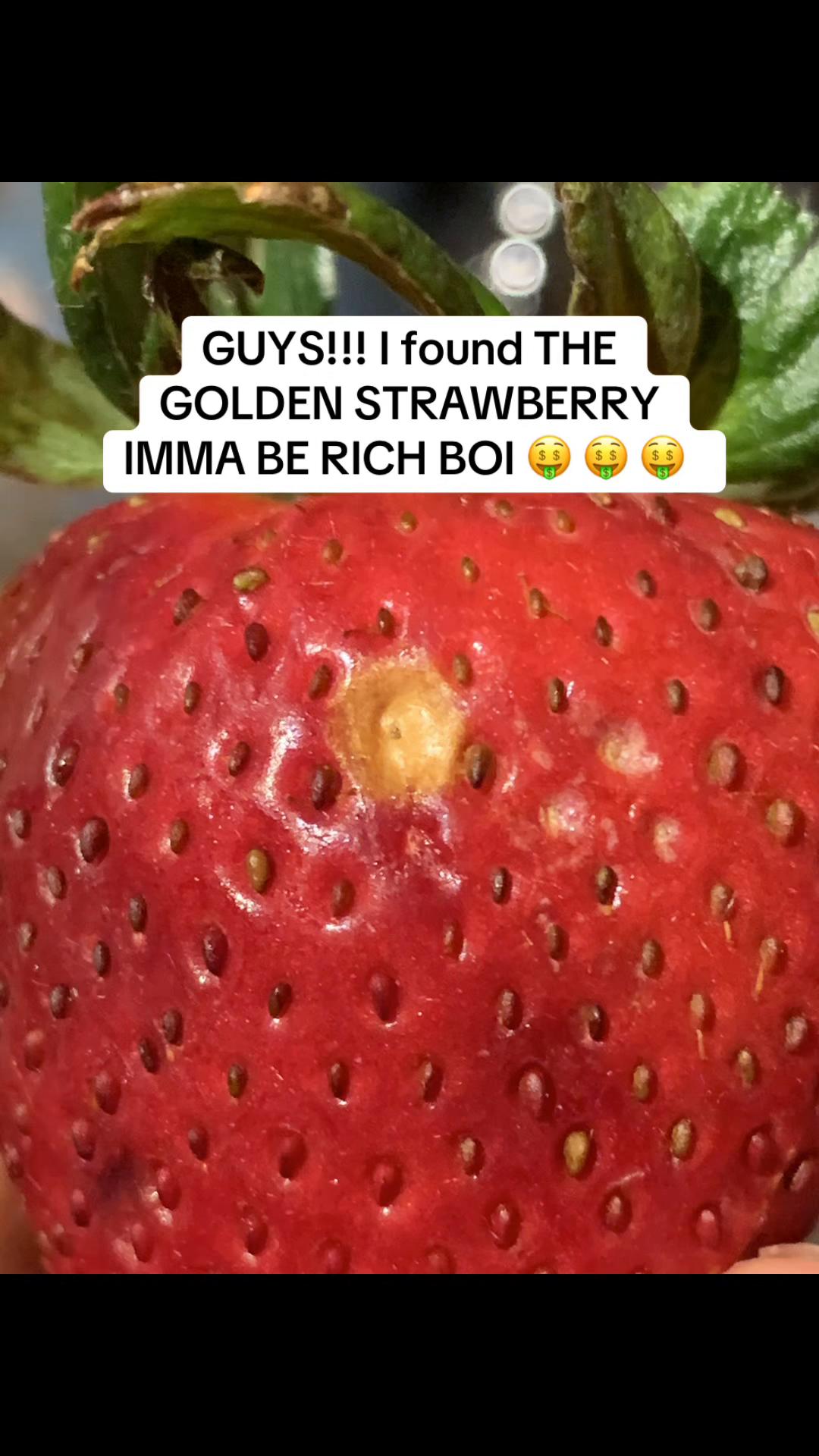 @☆౨ৎ⋆𝚓𝙰𝚉𝙼𝙸𝙽𝙴࣭⭑ֶָ֢❀☆ﾟ