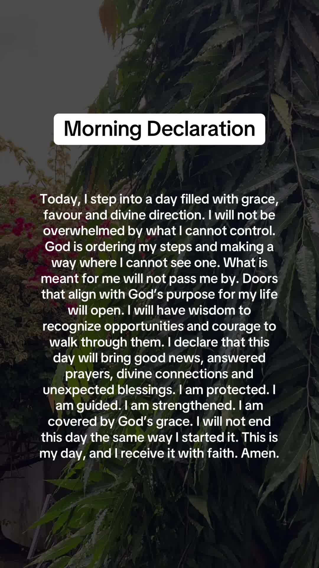 @Daily Faith Script