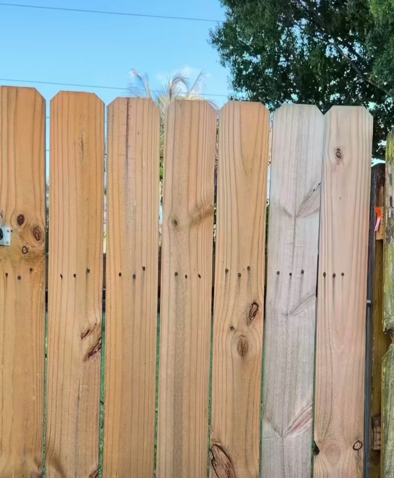 @bigclipsallday