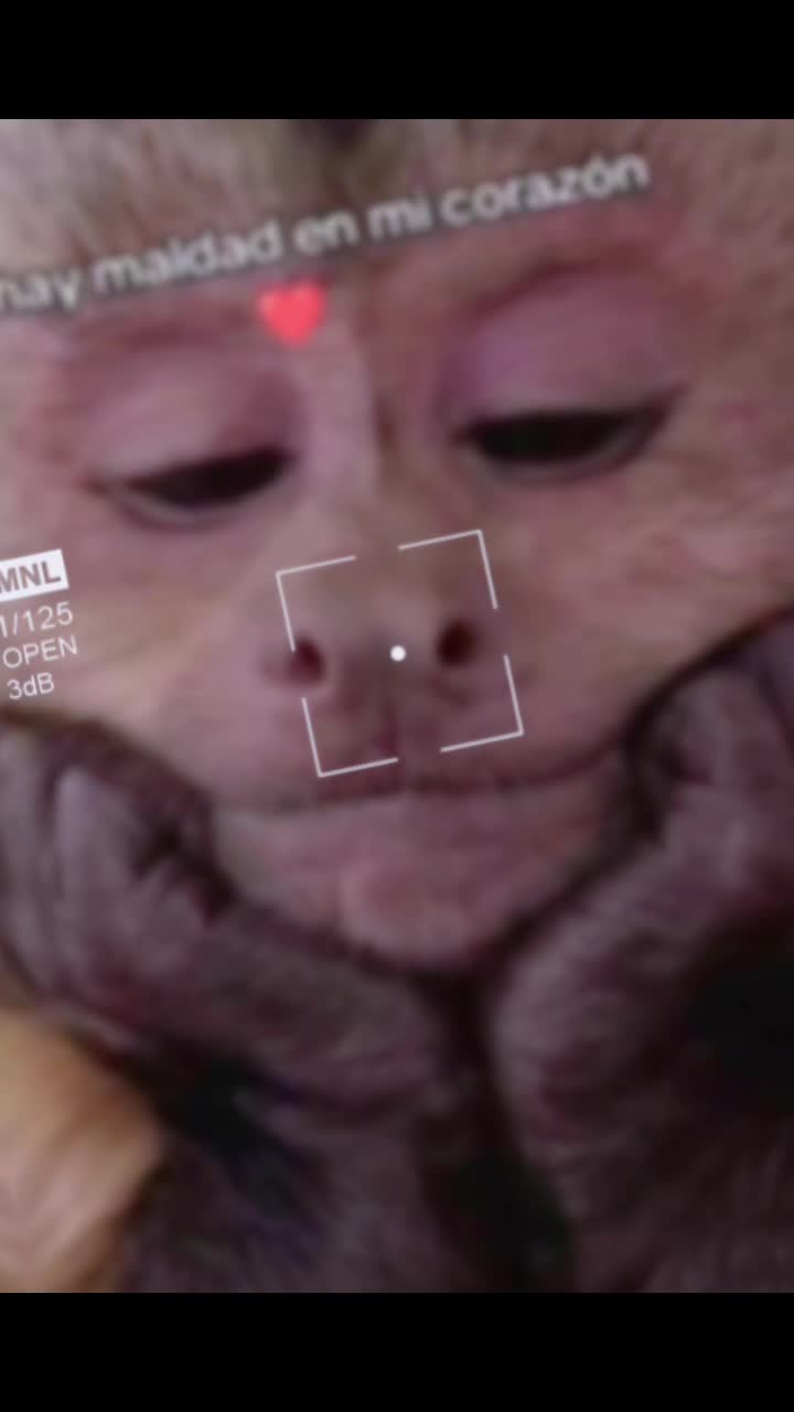 @ali🧿