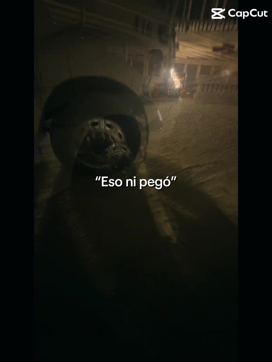 @Judith Rodriguez
