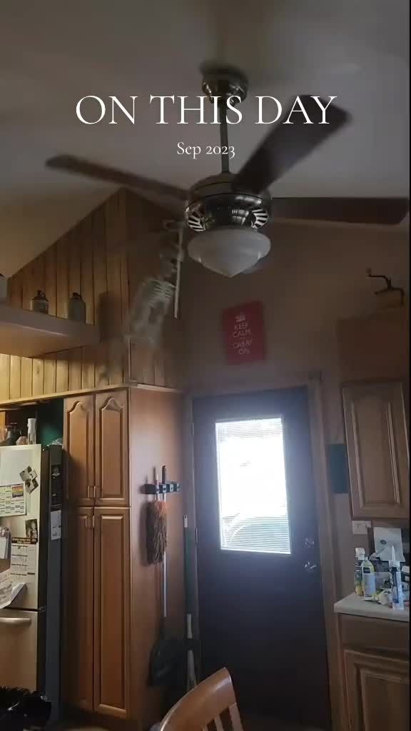 @Drunk Cat