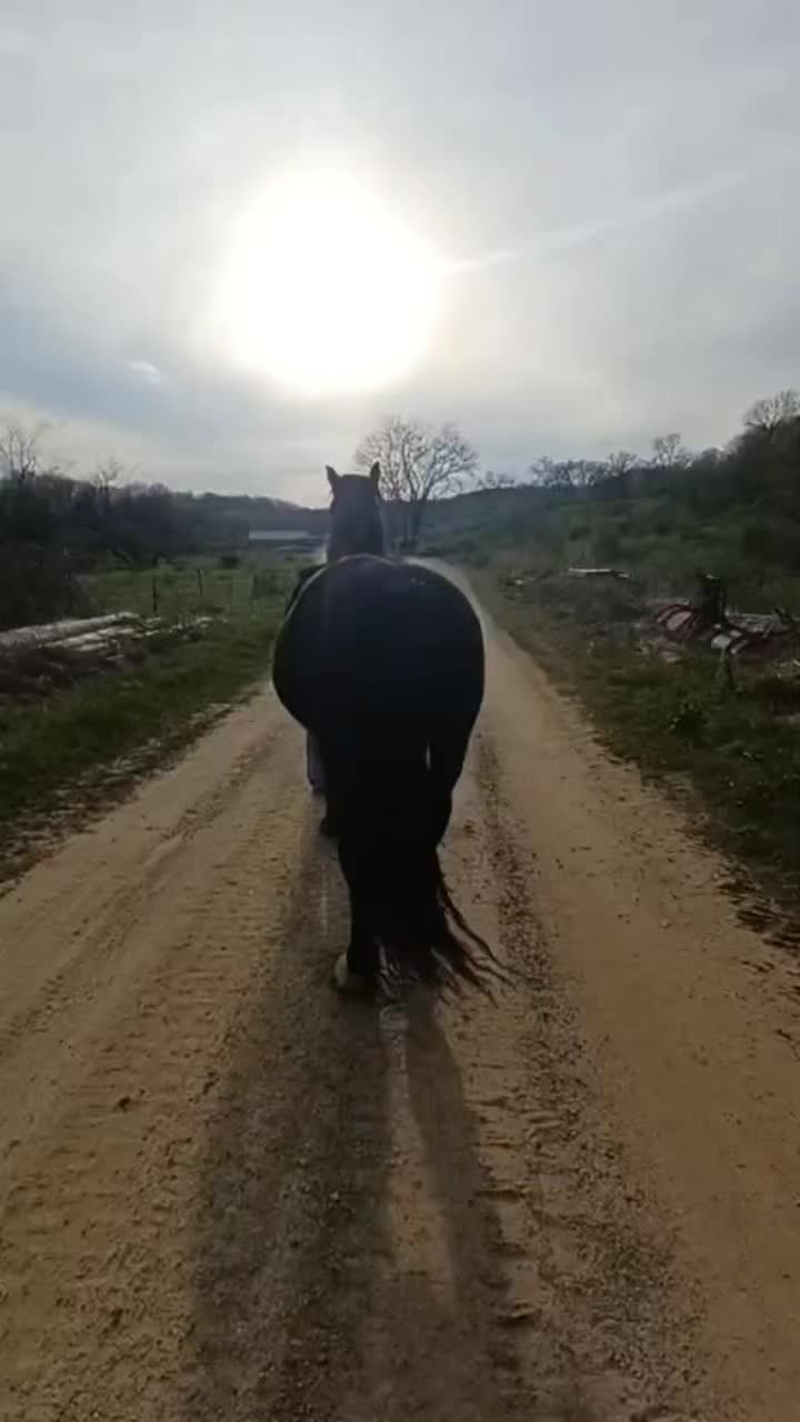 @RogueCowPonies