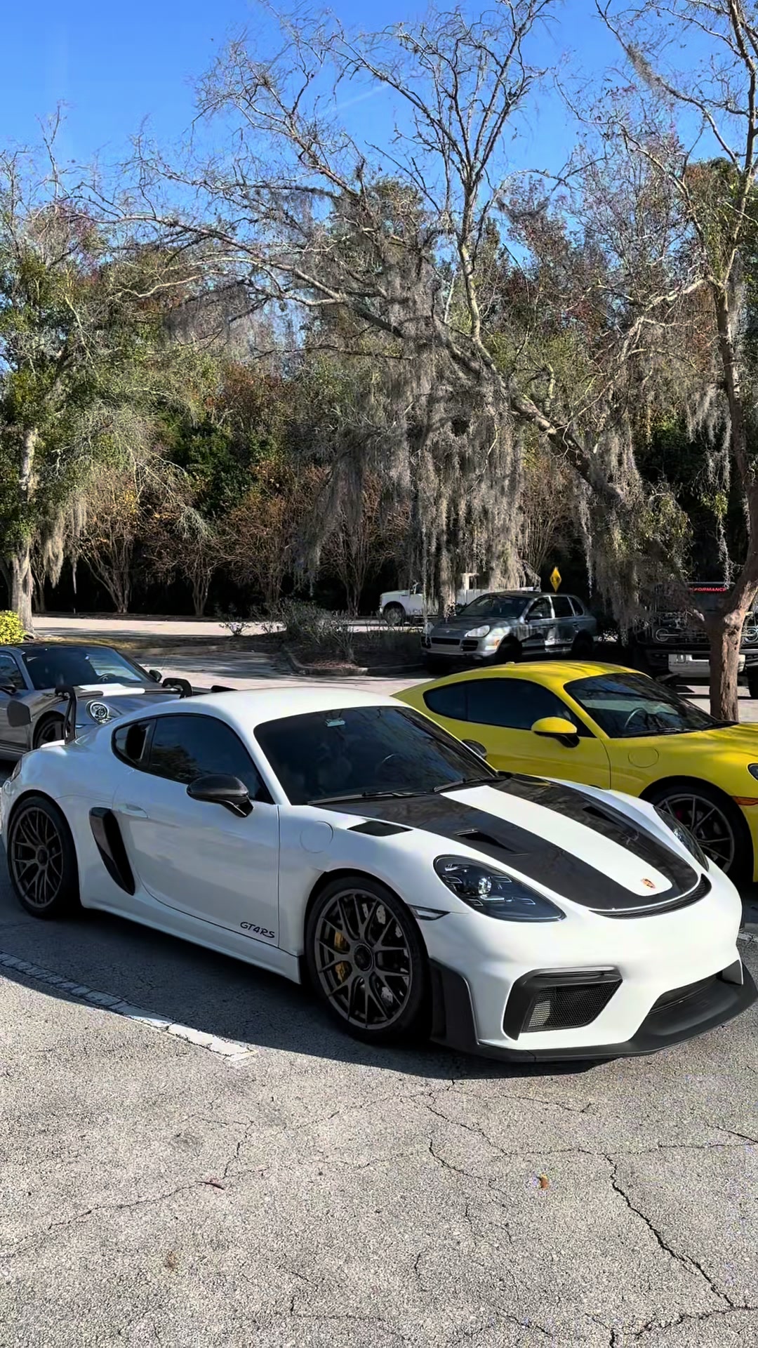 @Porsche Bias
