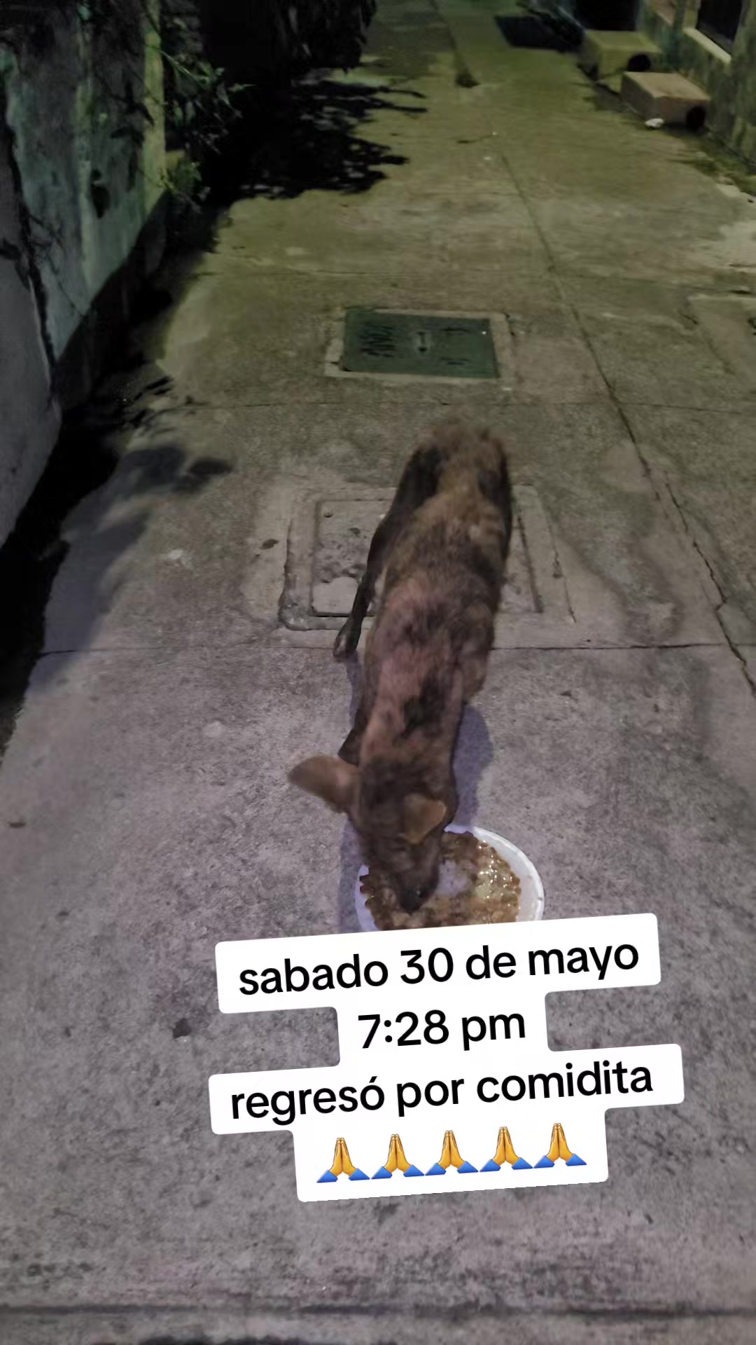 @𝕃𝕚𝕤𝕤 ℝ𝕖yes🇸🇻