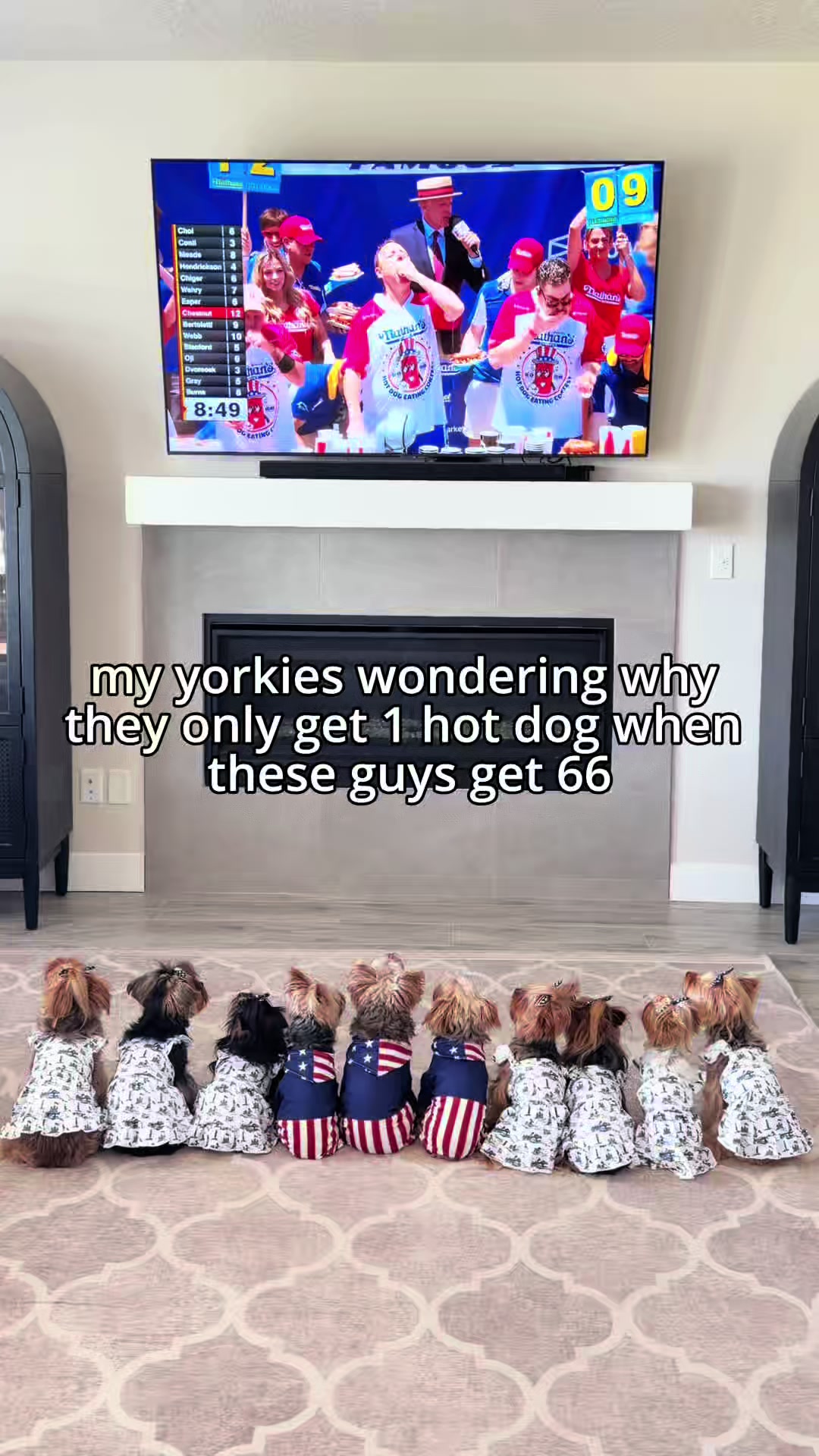 @The Utah Yorkies