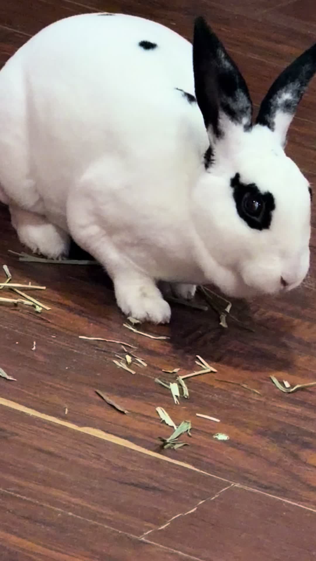 @TichBrewster