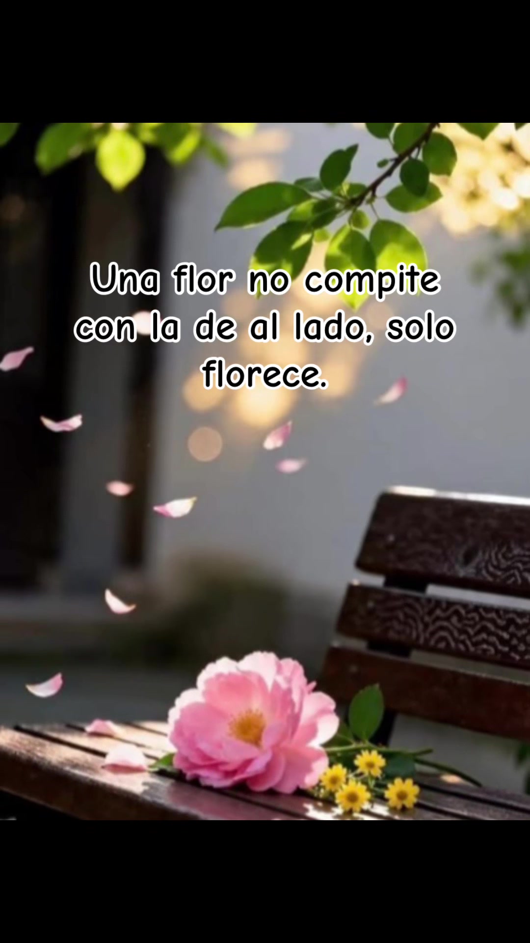@mariadutta7