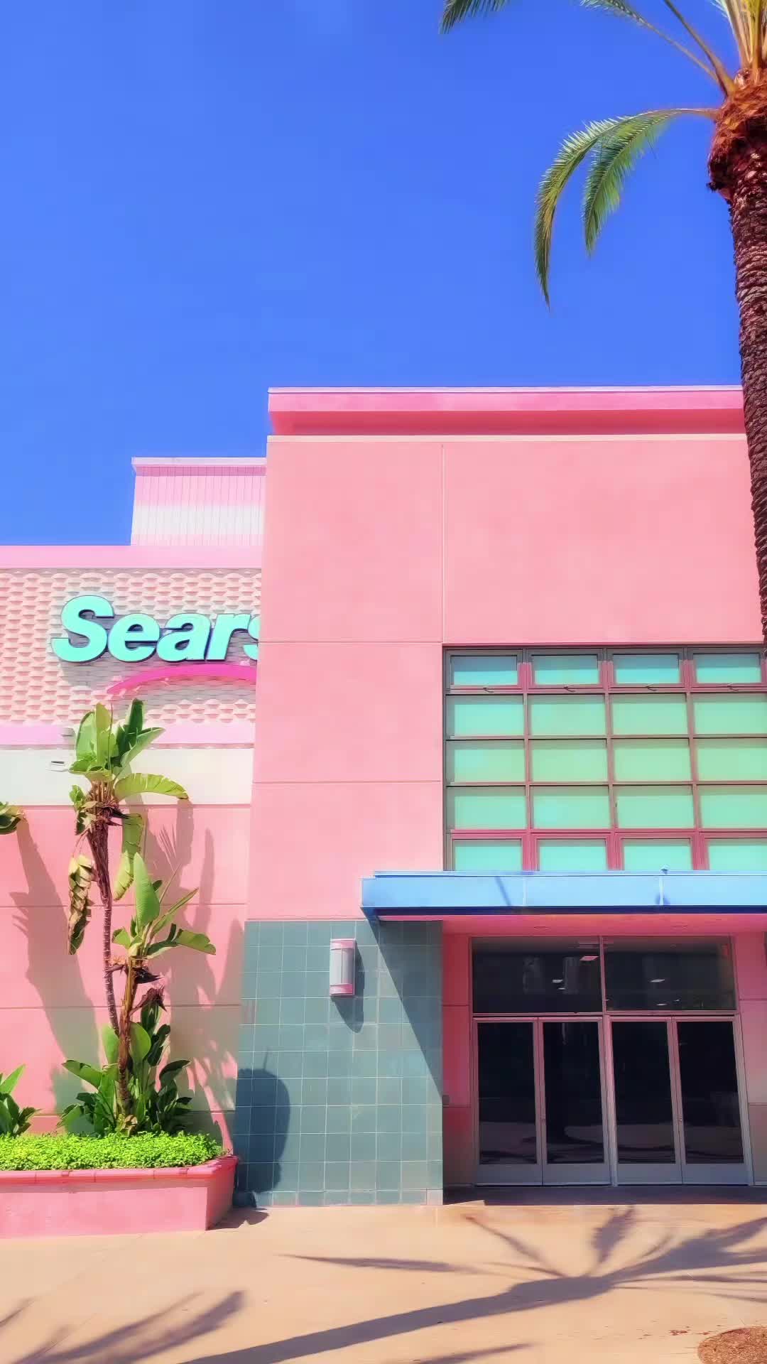 @Davin Del Amo