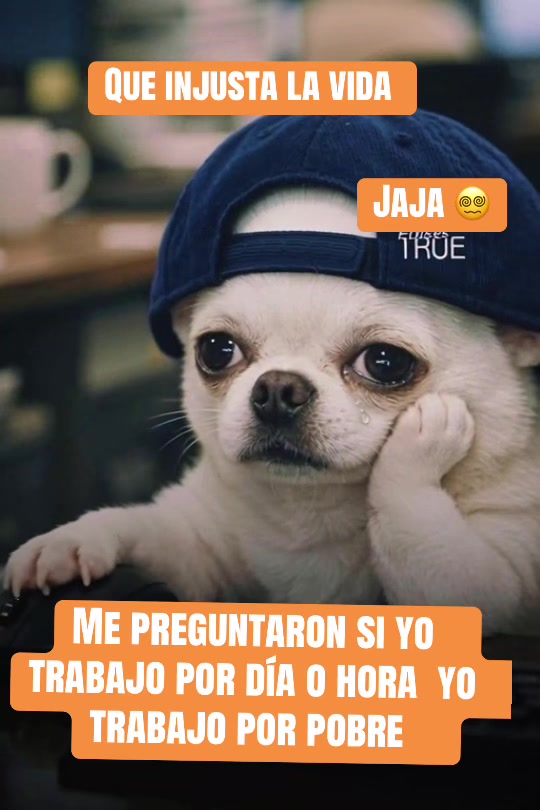 @PUBLICATION