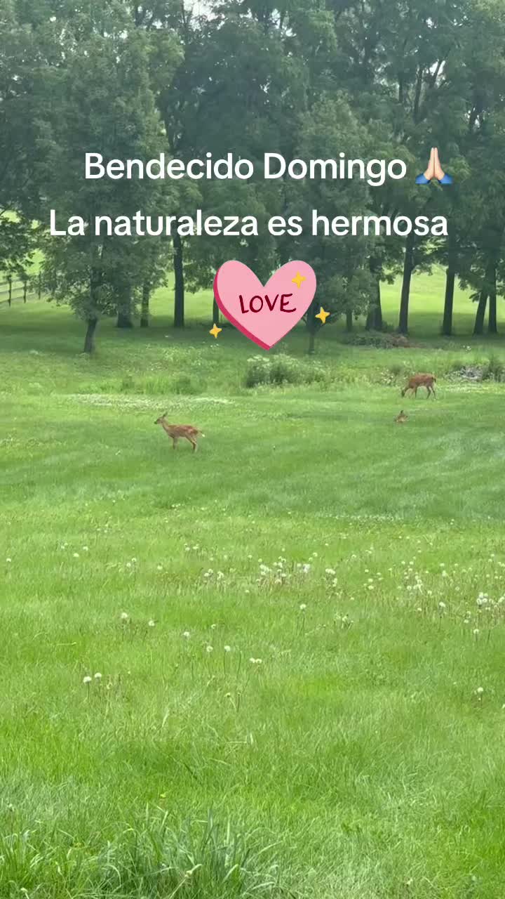 @Maria Ruiz