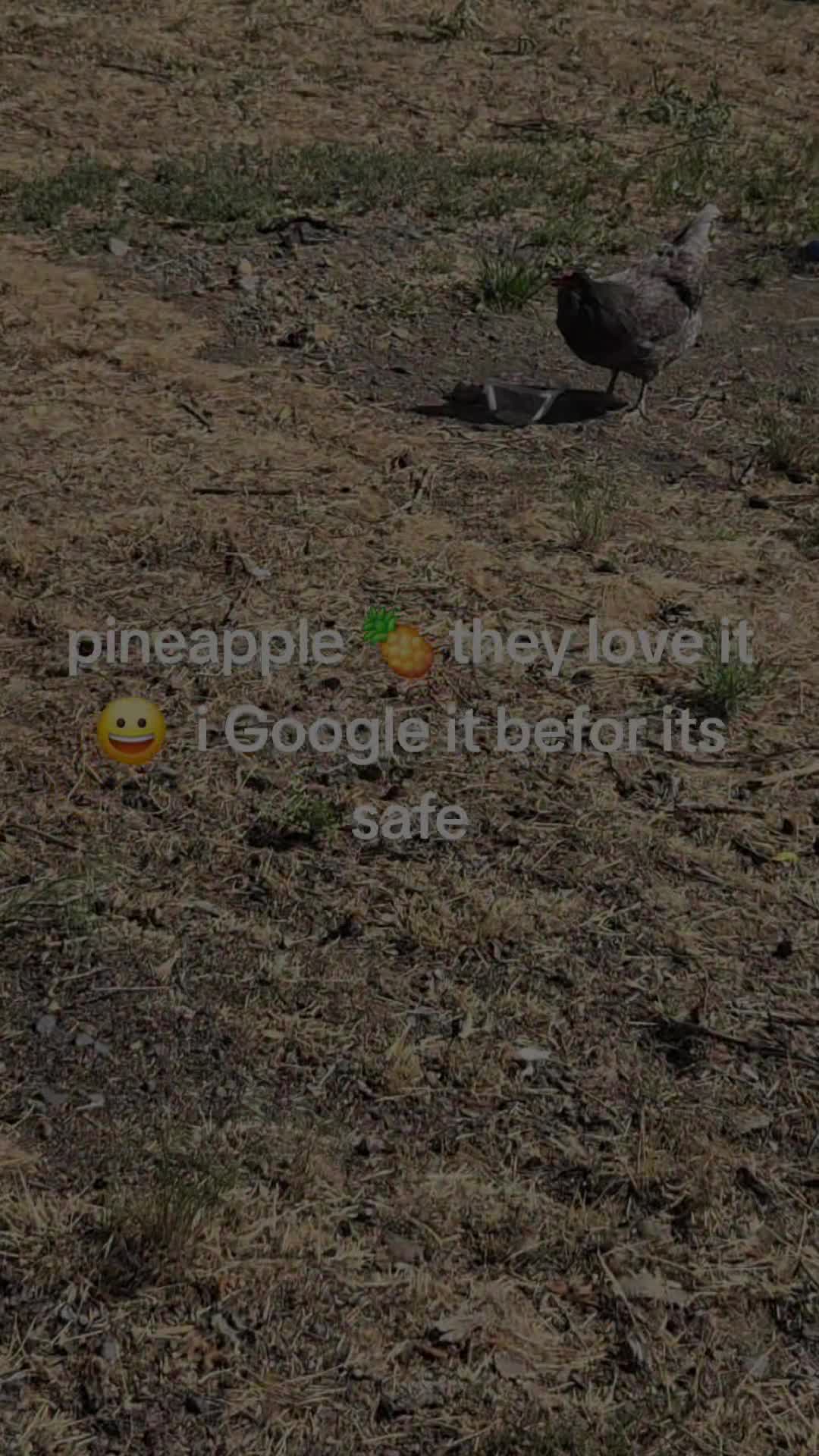 @GersonR