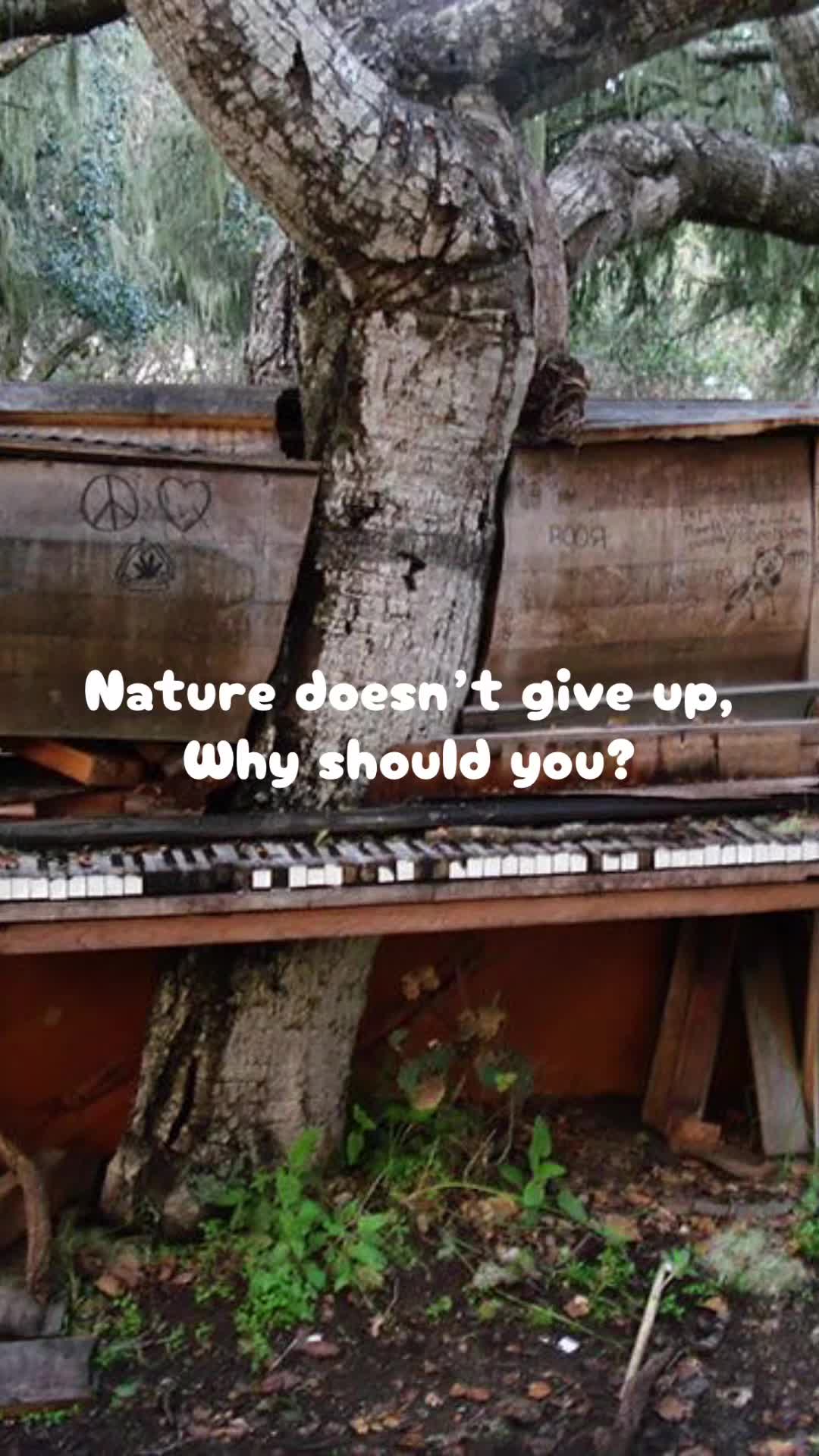@⋆˚꩜。༺𓋼𓍊𝐹𝒶𝑒𝒯𝓇𝒶𝓅𓍊𓋼༻☆