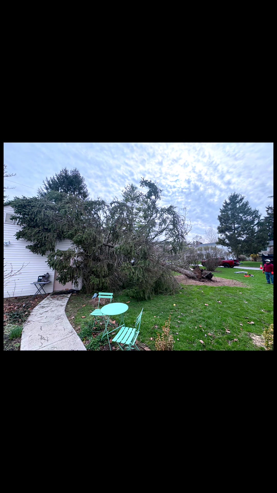 @gotreeservices6