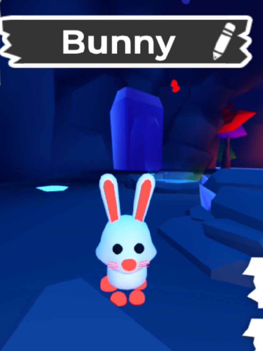 @♡Bunny♡
