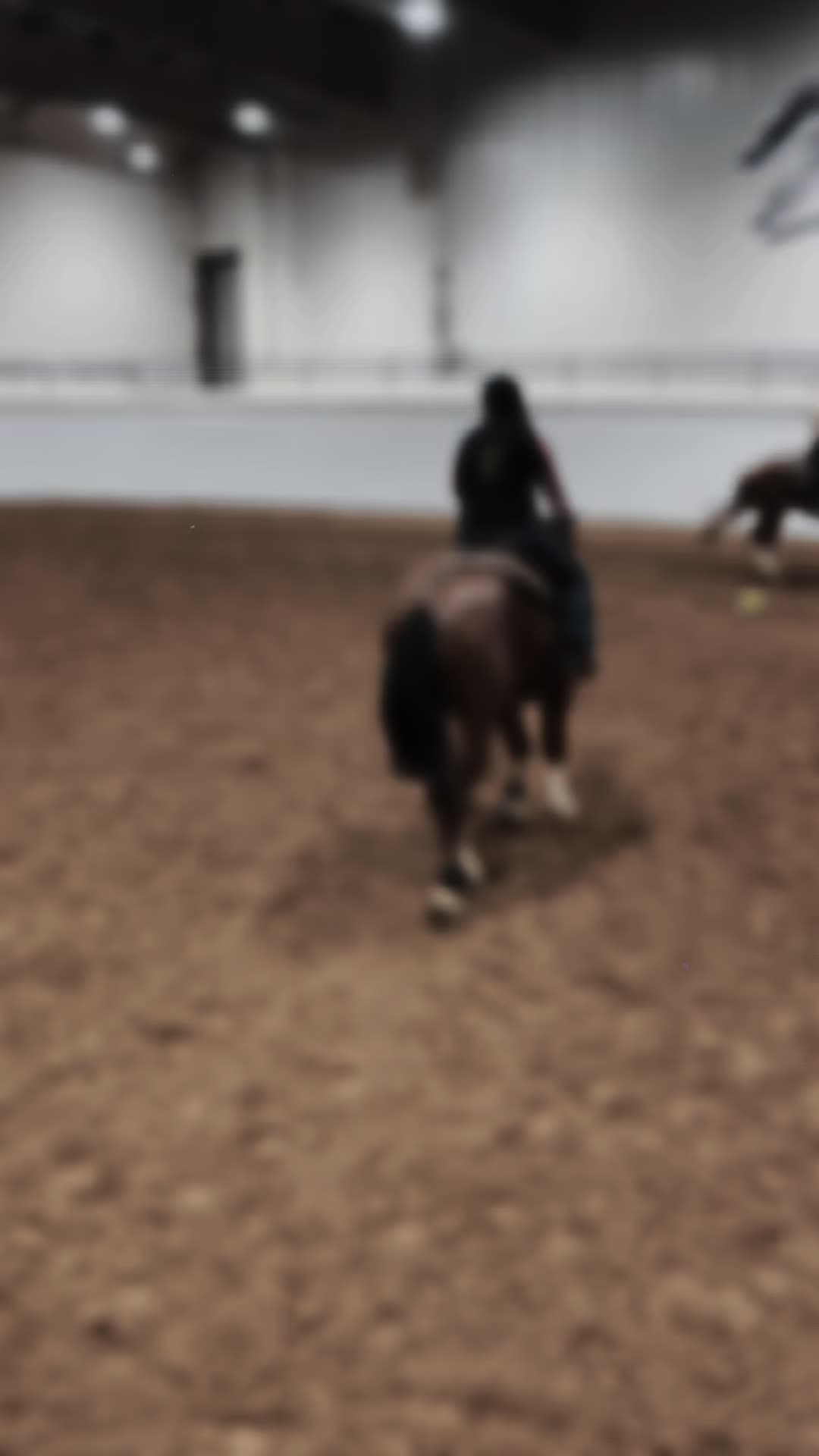 @Farley McLendon Show Horses
