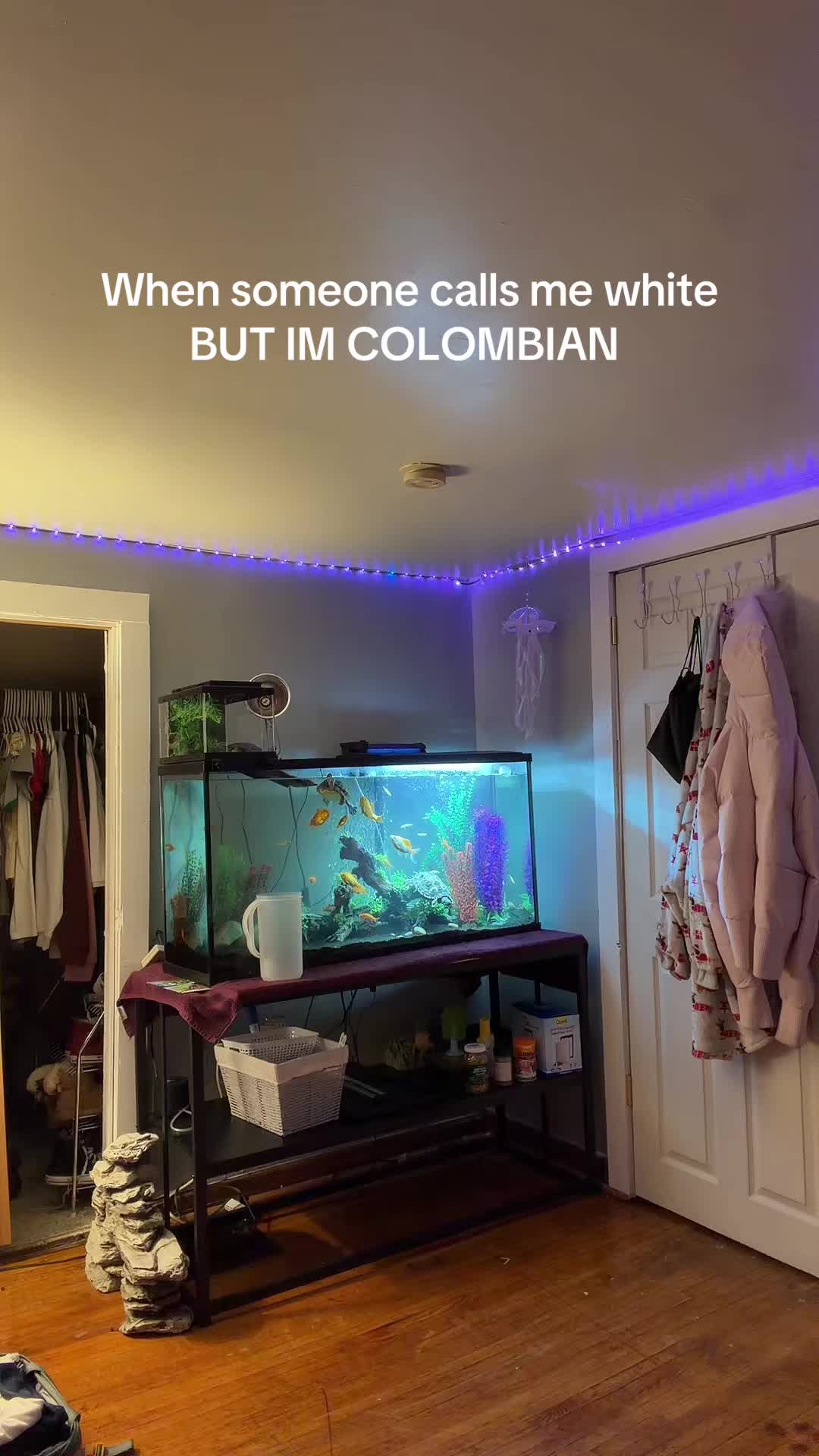 @lori.lmc