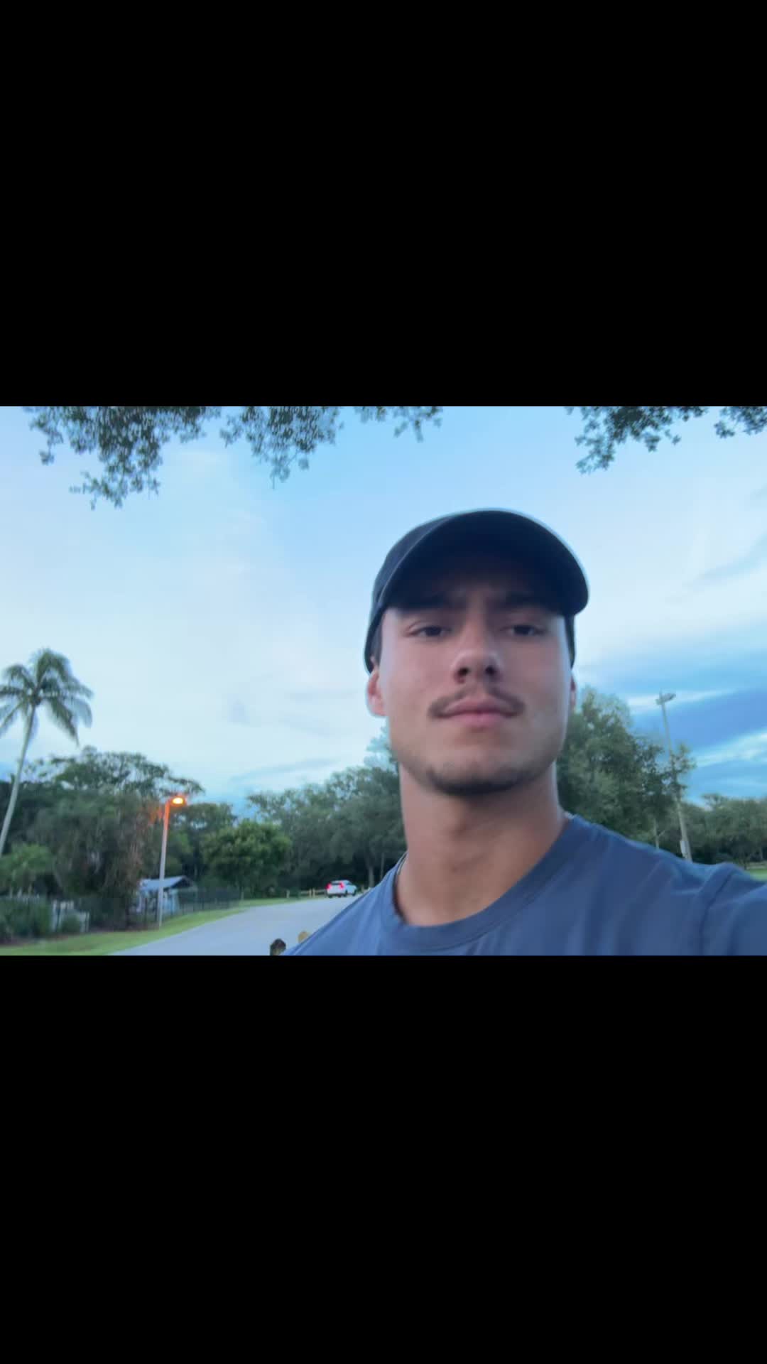 @mendiolaenusa
