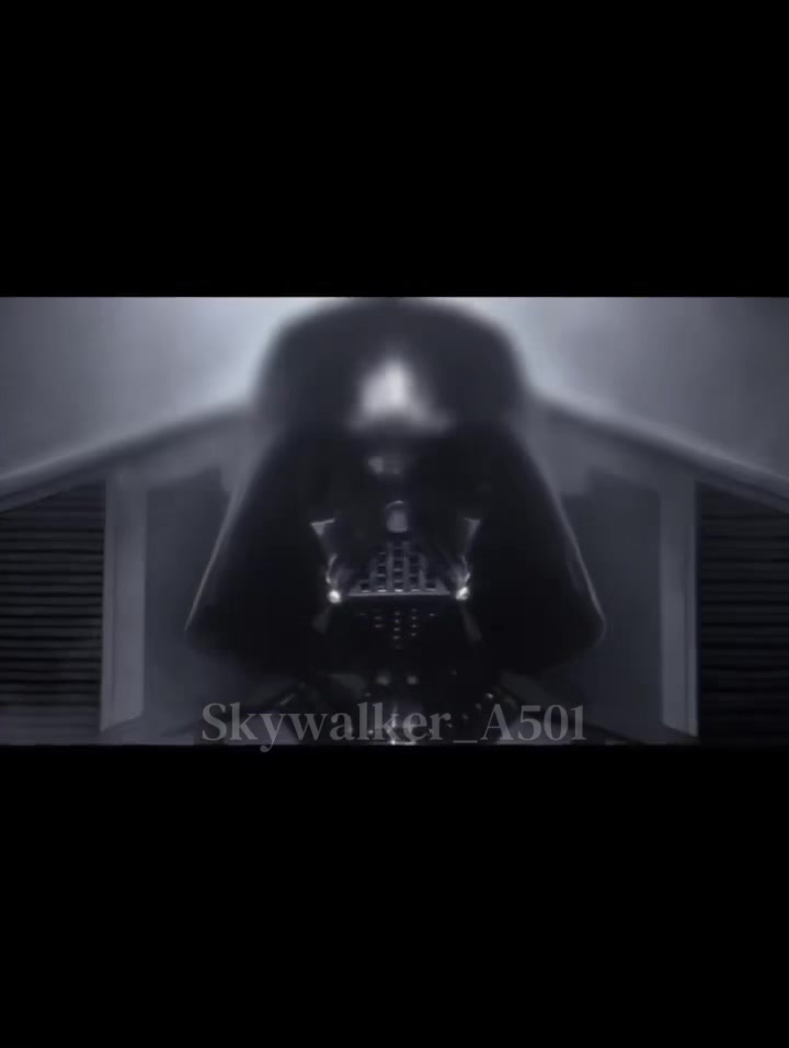 @skywalker_a501
