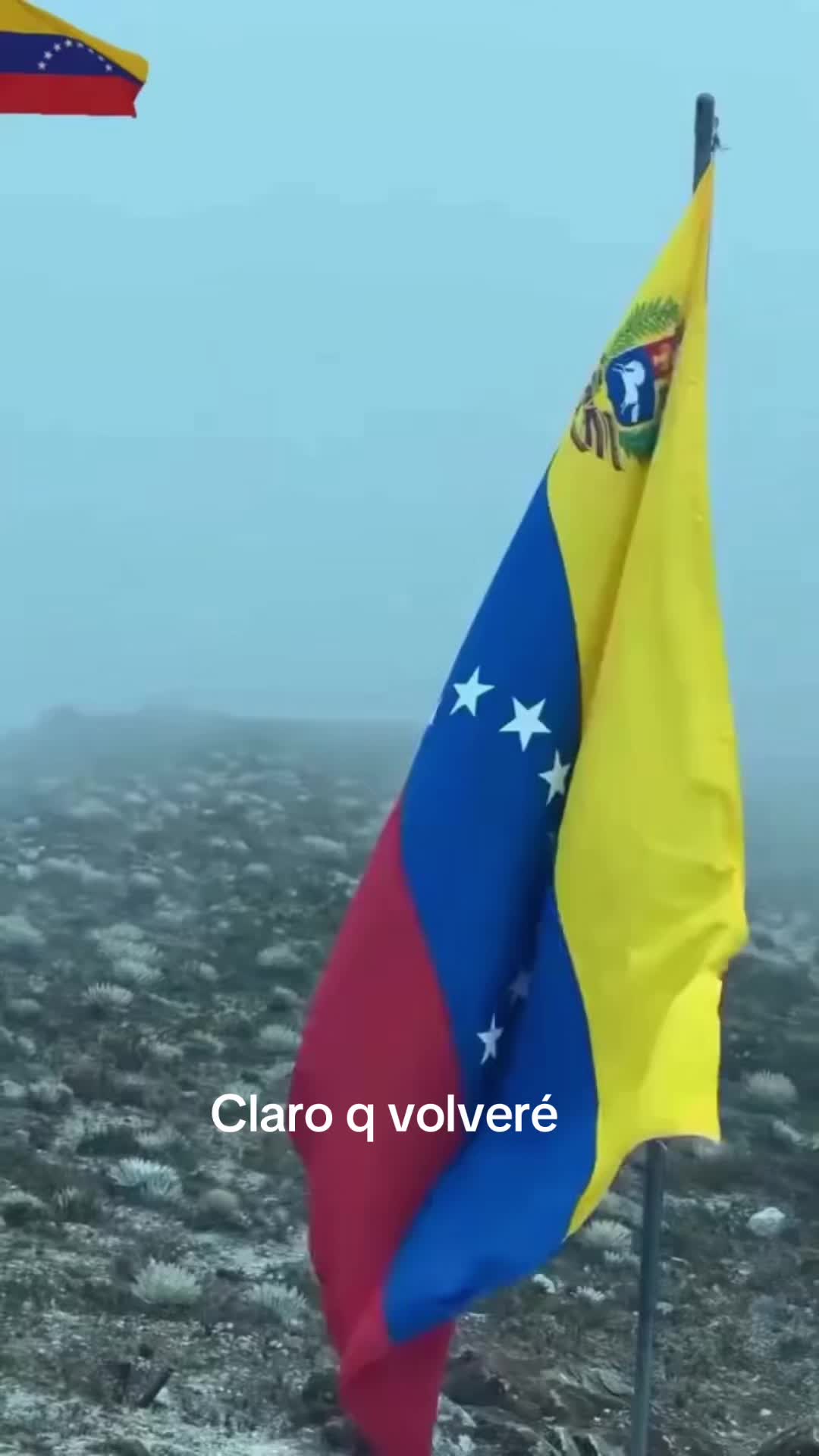 @Dari