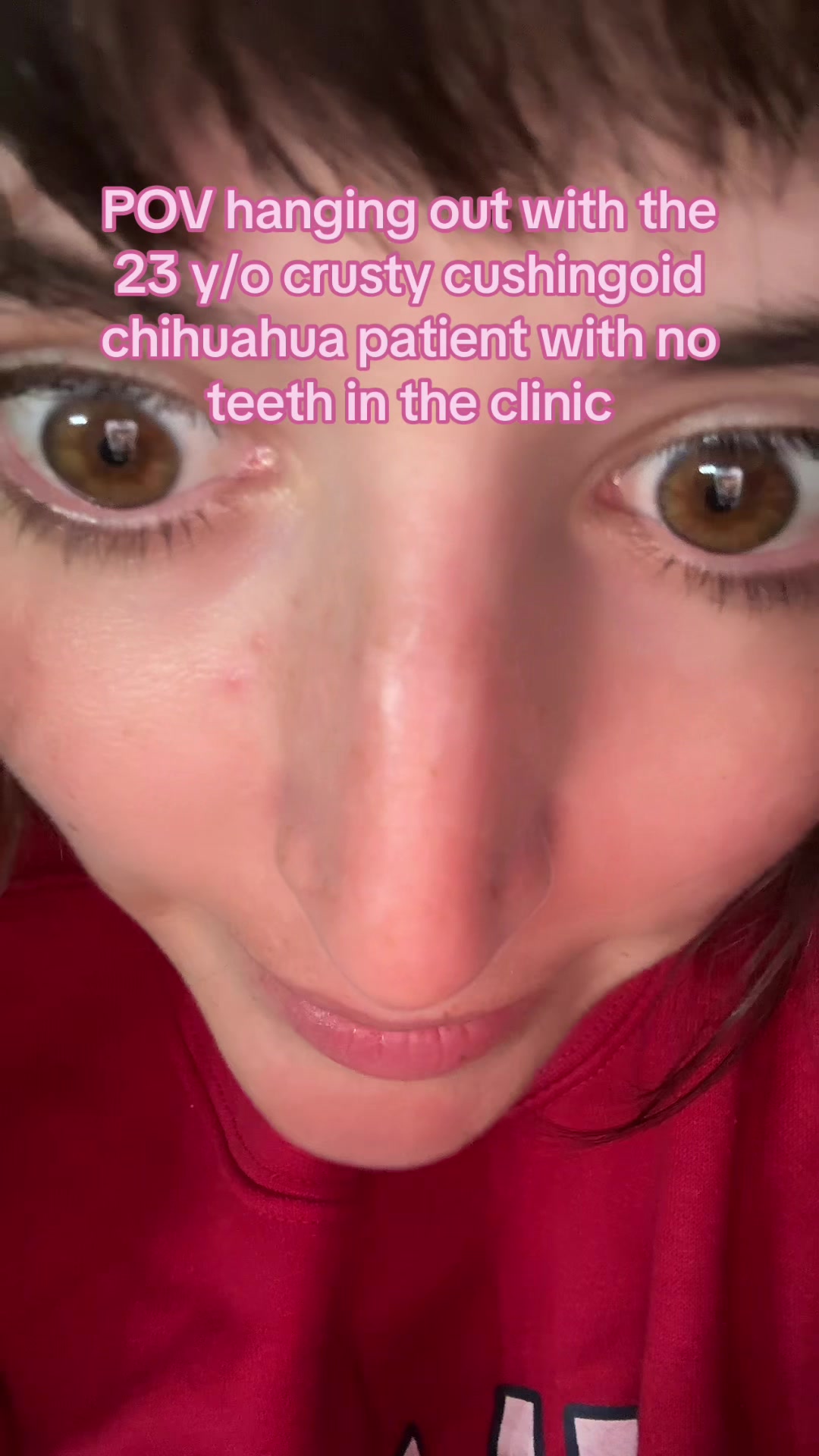 @futuredoctormegdvm