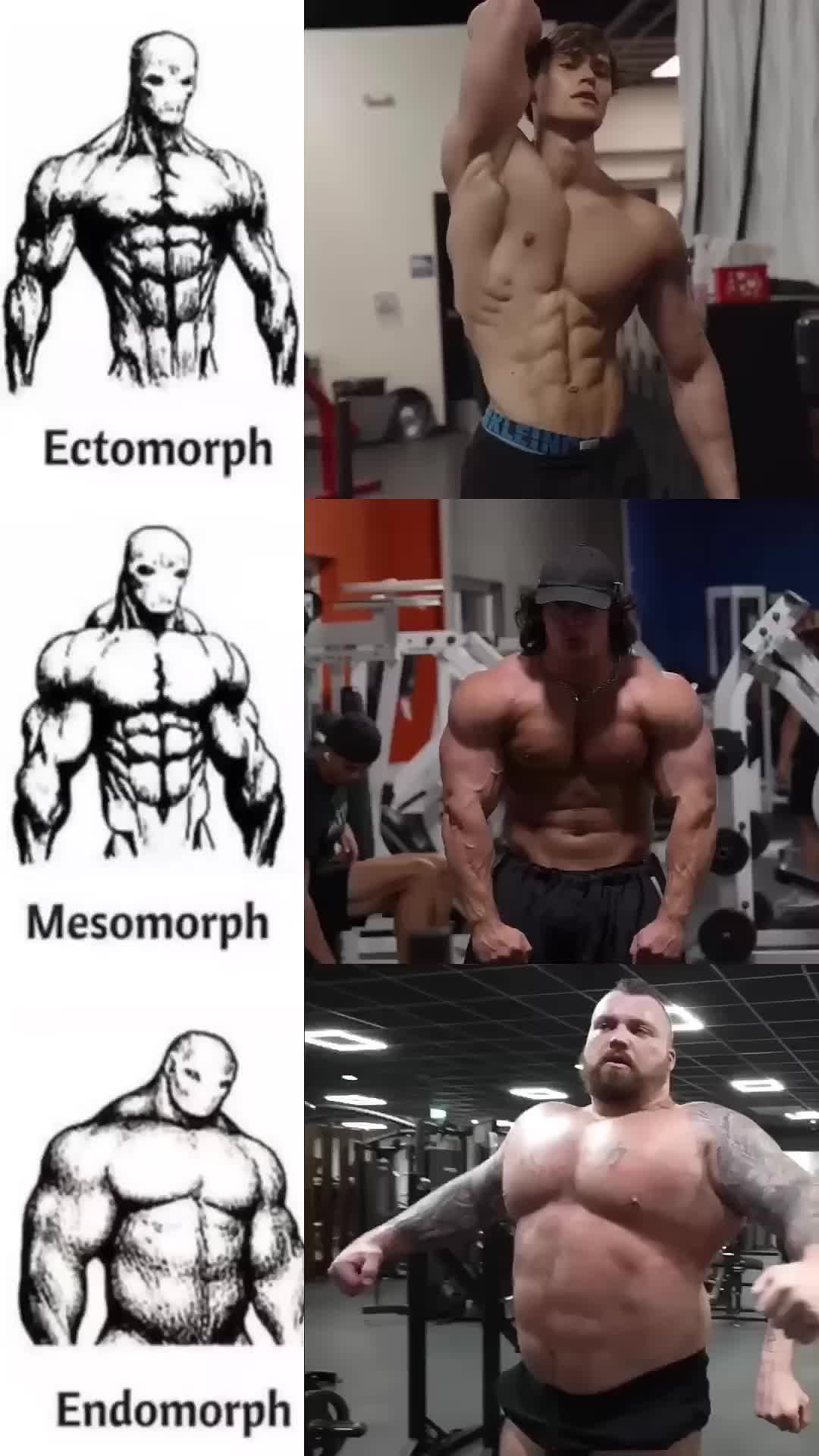 @WORLDBODY_