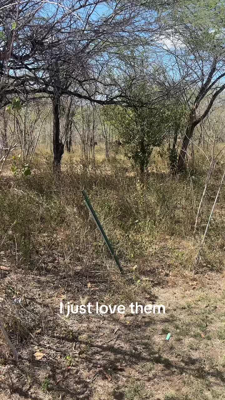 @Jessy