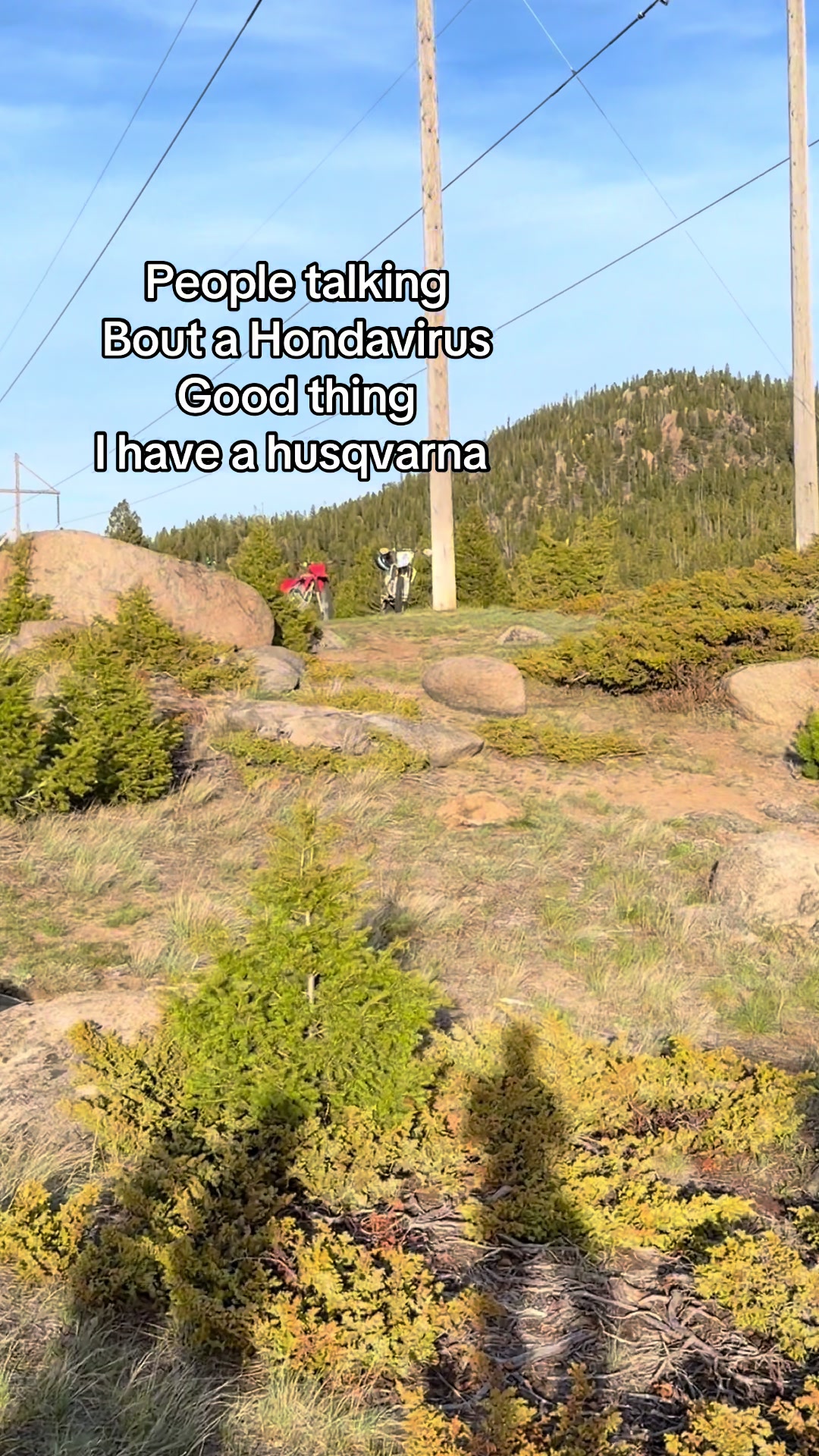 @?¿