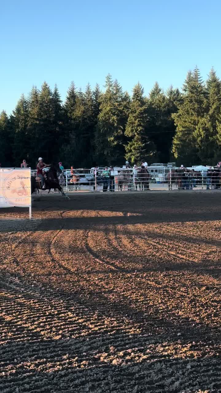 @TF Performance Horses