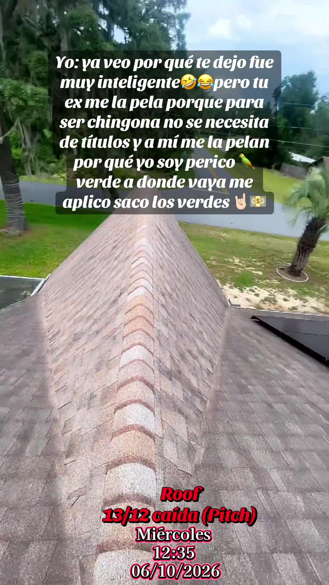 @Judith Nieto (Azul)
