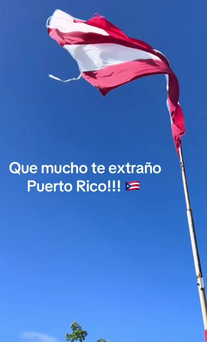 @🇵🇷 Torres 1981 🇵🇷