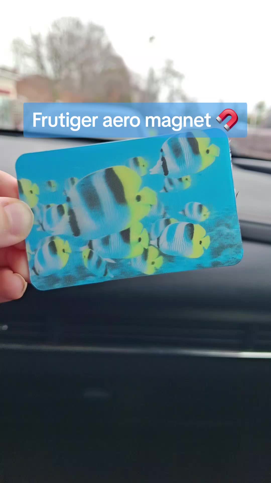 @frutigeraer00