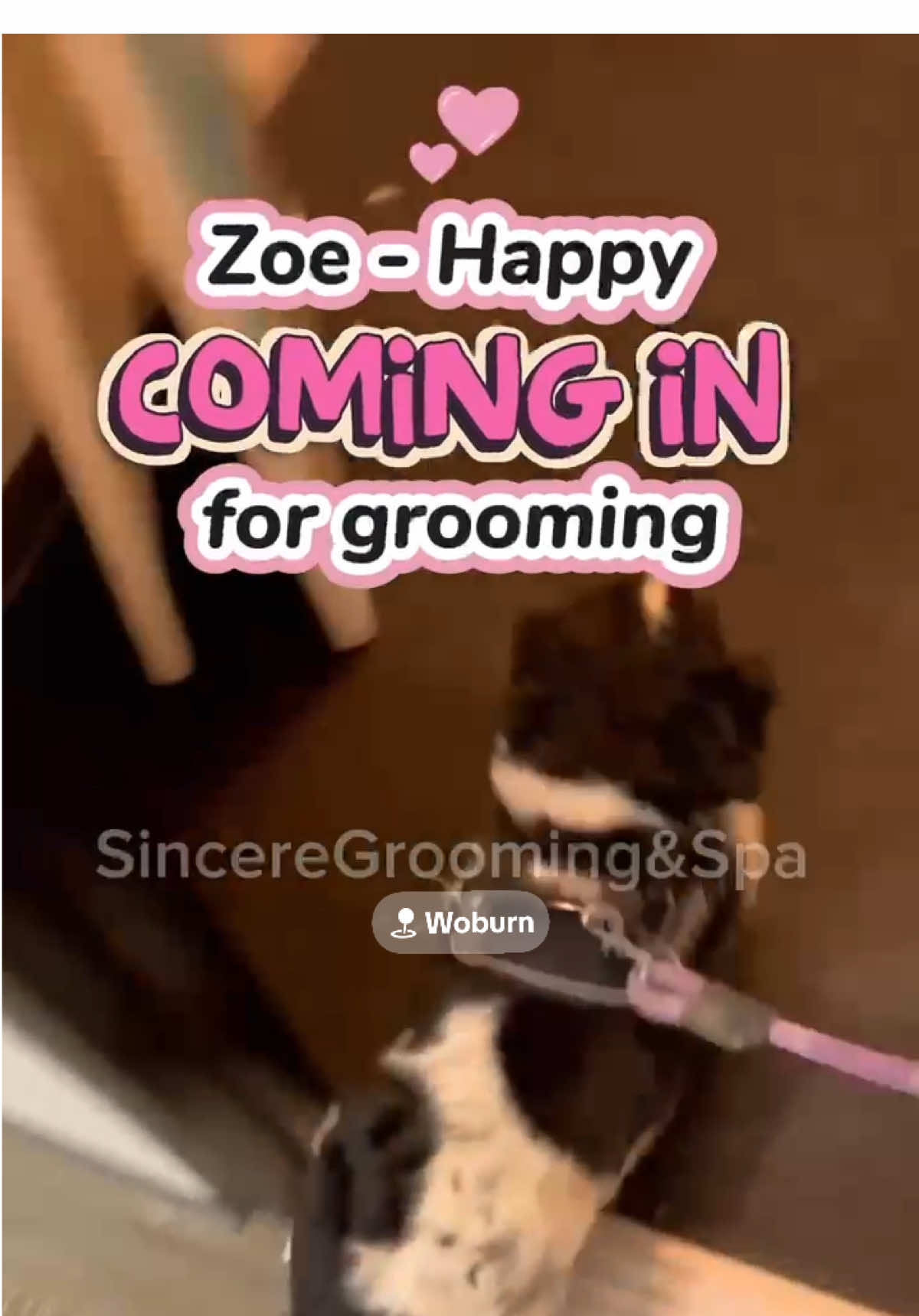 @Sincere Groomer