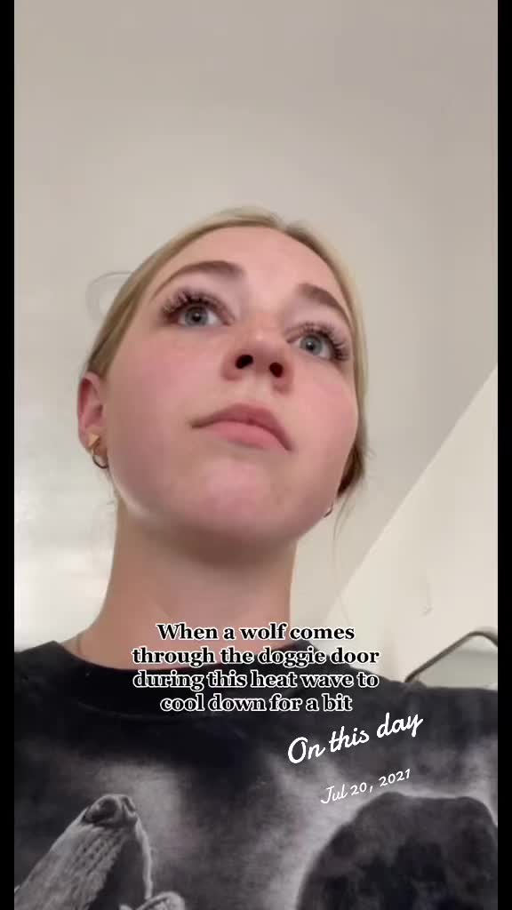@historyrulez