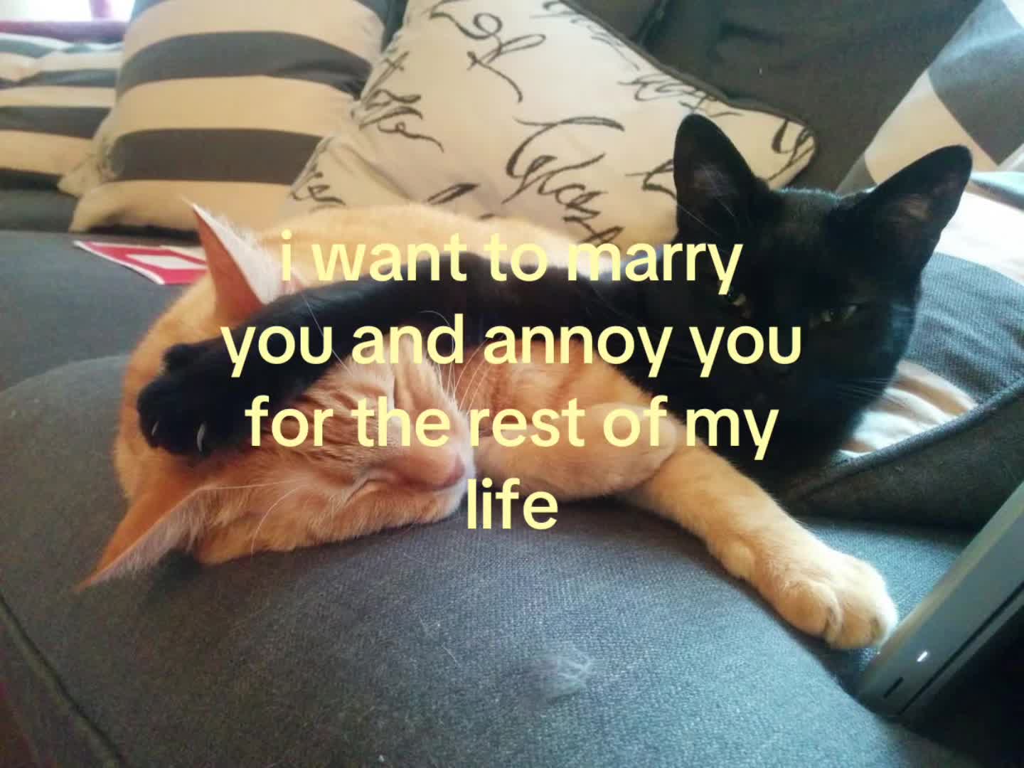 @rwnd