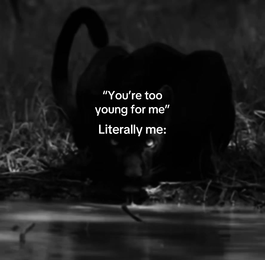 @𝐫𝐞𝐢𝐠𝐡𝐚𝐧𝐞𝐝𝐢𝐭𝐬ఌ